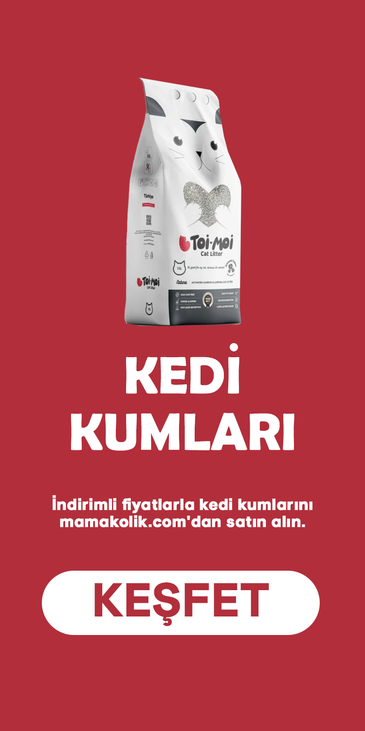 Kedi Kumları