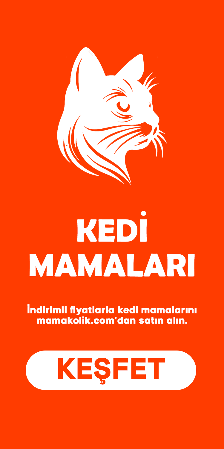 Yavru Kedi Mamaları