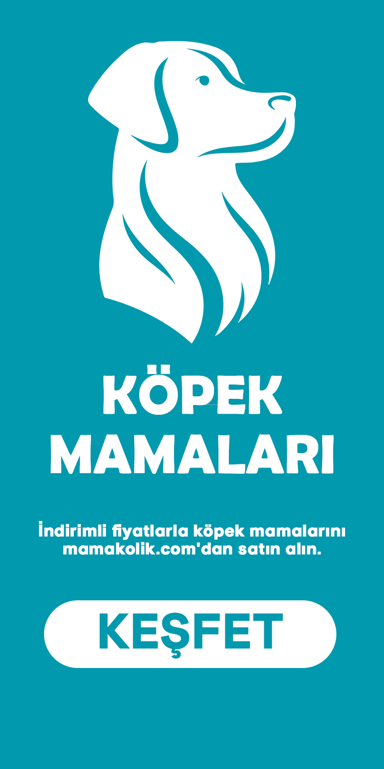 Yavru Köpek Mamaları