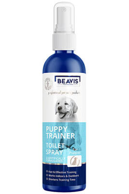 Beavis Yavru ve Genç Köpekler için Tuvalet Eğitim Spreyi 100ml - BEAVIS
