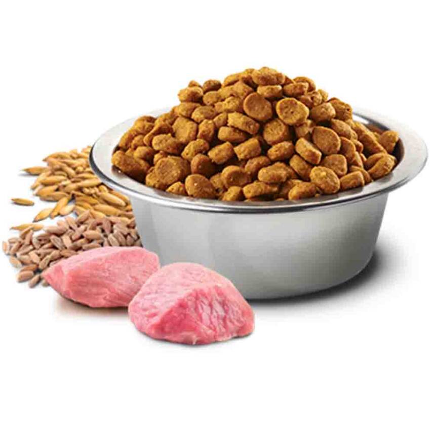 ND Ancestral Grain Düşük Tahıllı Kuzu Eti ve Yaban Mersinli Kısırlaştırılmış Kedi Maması 10kg - 2