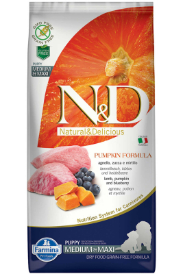 ND Pumpkin Tahılsız Kuzu Eti Balkabağı ve Yaban Mersinli Orta ve Büyük Irk Yavru Köpek Maması 12kg - N&D