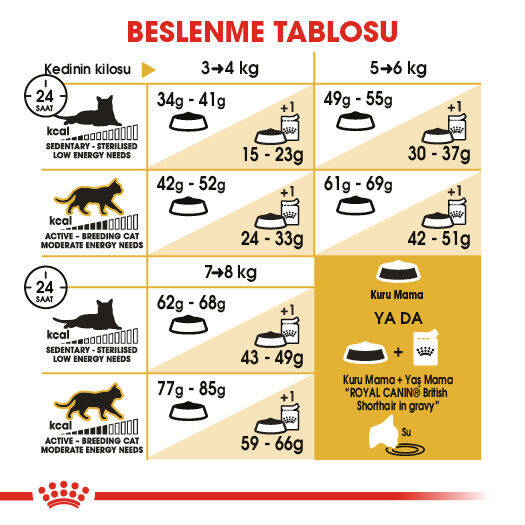 Royal Canin British Shorthair Adult Yetişkin Kedi Maması 10kg - 2