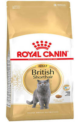 Royal Canin British Shorthair Adult Yetişkin Kedi Maması 10kg - ROYAL CANİN