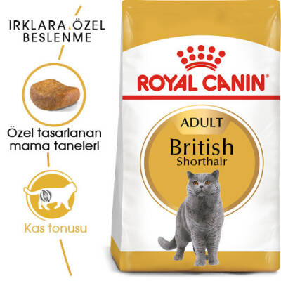 Royal Canin British Shorthair Adult Yetişkin Kedi Maması 2kg - 2