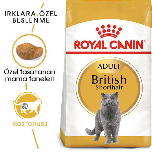 Royal Canin British Shorthair Adult Yetişkin Kedi Maması 2kg - 2