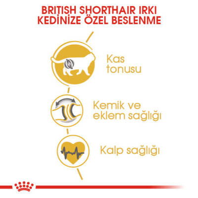 Royal Canin British Shorthair Yetişkin Kedi Maması 4kg - 2
