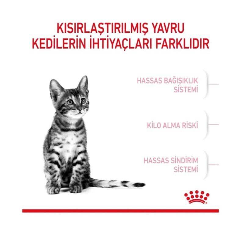 Royal Canin Kitten Sterilised Yavru Kısırlaştırılmış Kedi Maması 2kg - 4
