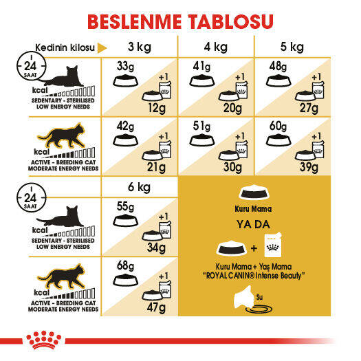 Royal Canin Siamese Siyam Irkı Yetişkin Kedi Maması 2kg - 6