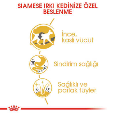 Royal Canin Siamese Siyam Irkı Yetişkin Kedi Maması 2kg - 3