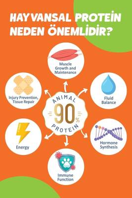 Solomon Kısırlaştırılmış Somon'lu Süper Premium Kedi Maması 1,5 kg - Hipoalerjenik - Düşük Tahıllı - 2