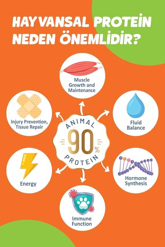 Solomon Kısırlaştırılmış Somon'lu Süper Premium Kedi Maması 1,5 kg - Hipoalerjenik - Düşük Tahıllı - 2